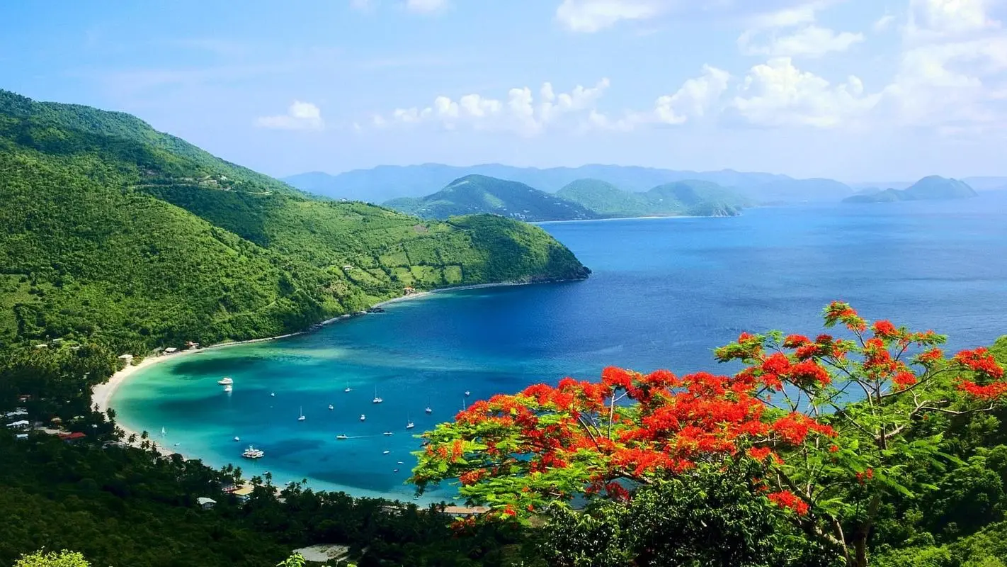 高端高精度电子